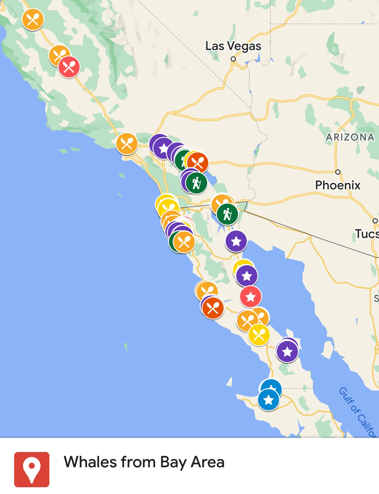 Mexico - Whales from Bay Area - 9 days (RU)
